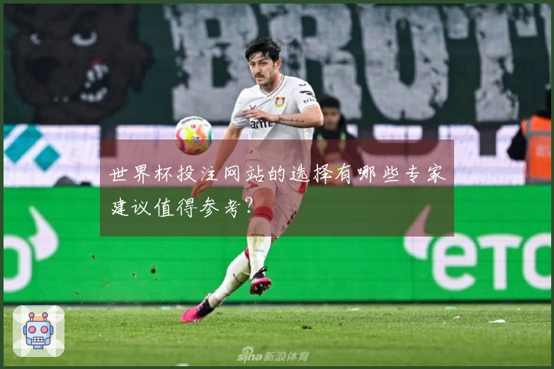 世界杯投注网站的选择有哪些专家建议值得参考？