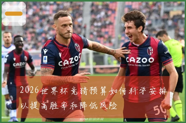 2026世界杯竞猜预算如何科学安排以提高胜率和降低风险