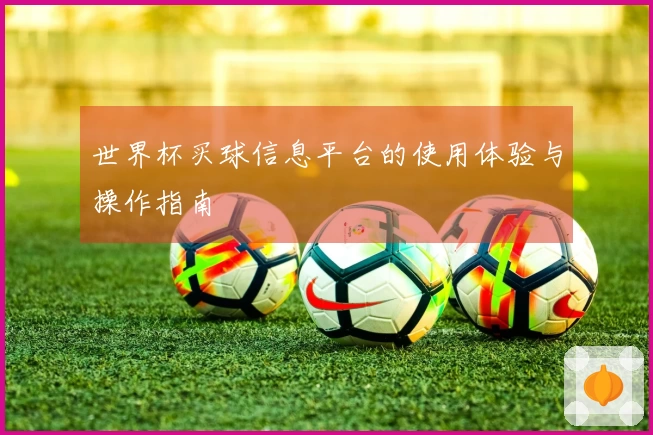 世界杯买球信息平台的使用体验与操作指南