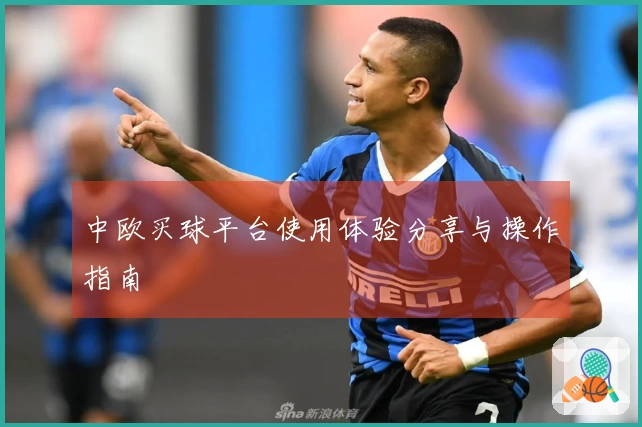 中欧买球平台使用体验分享与操作指南