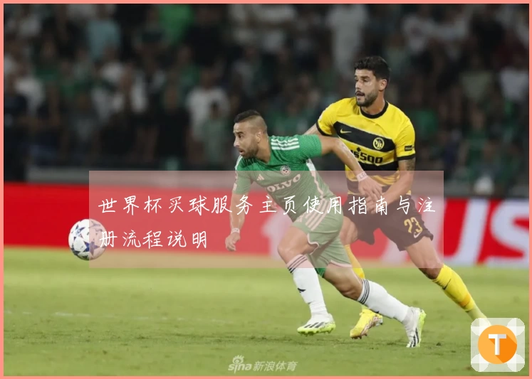 世界杯买球服务主页使用指南与注册流程说明