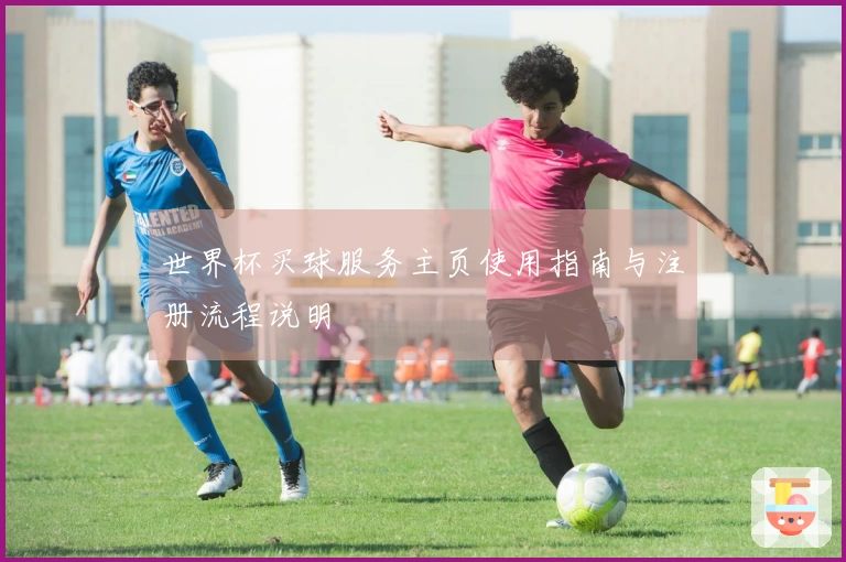 世界杯买球服务主页使用指南与注册流程说明