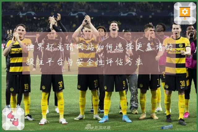 世界杯竞猜网站如何选择更靠谱的投注平台与安全性评估方法