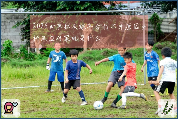 2026世界杯买球平台打不开原因分析及应对策略是什么