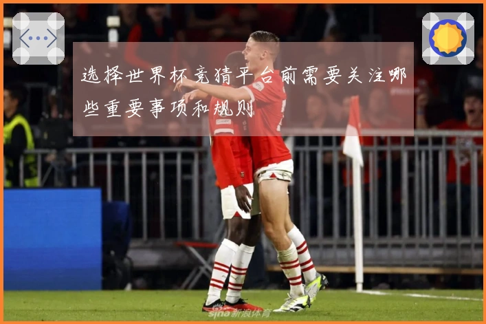 选择世界杯竞猜平台前需要关注哪些重要事项和规则