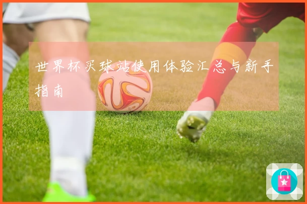 世界杯买球站使用体验汇总与新手指南