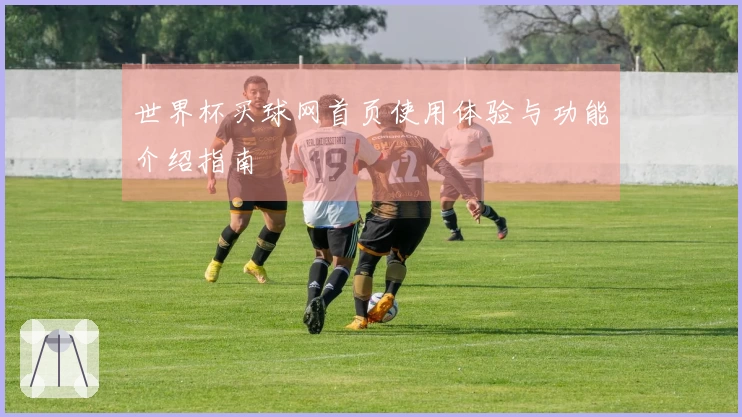 世界杯买球网首页使用体验与功能介绍指南