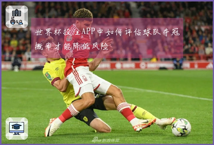 世界杯投注APP中如何评估球队夺冠概率才能降低风险