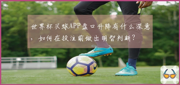 世界杯买球APP盘口升降有什么深意，如何在投注前做出明智判断？