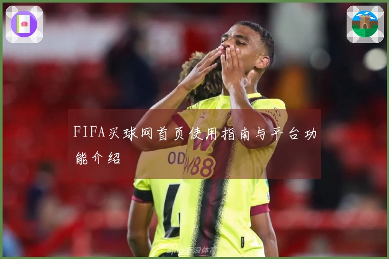 FIFA买球网首页使用指南与平台功能介绍