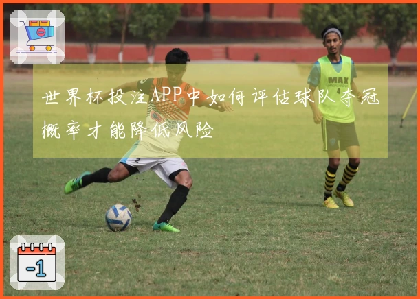 世界杯投注APP中如何评估球队夺冠概率才能降低风险