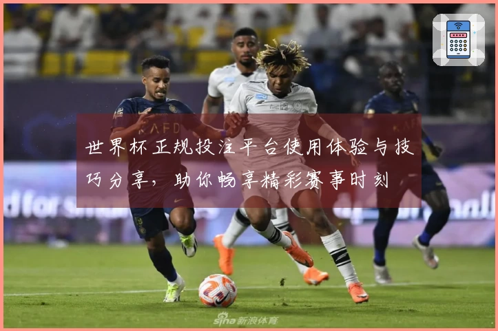世界杯正规投注平台使用体验与技巧分享，助你畅享精彩赛事时刻
