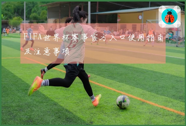FIFA世界杯赛事官方入口使用指南及注意事项