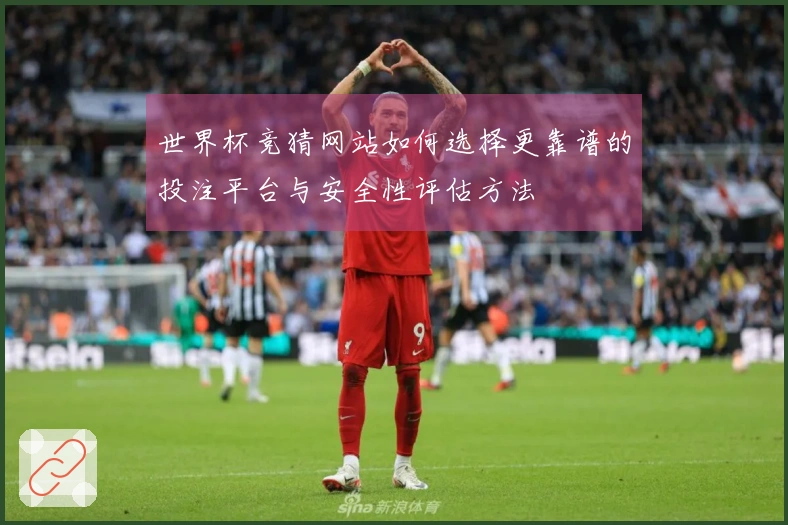 世界杯竞猜网站如何选择更靠谱的投注平台与安全性评估方法