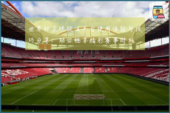 世界杯正规投注平台使用体验与技巧分享，助你畅享精彩赛事时刻