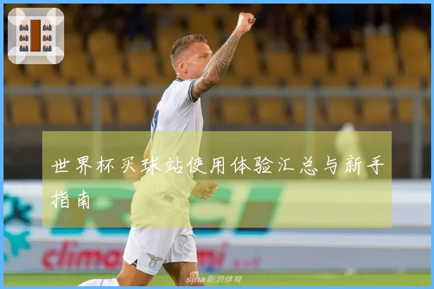 世界杯买球站使用体验汇总与新手指南