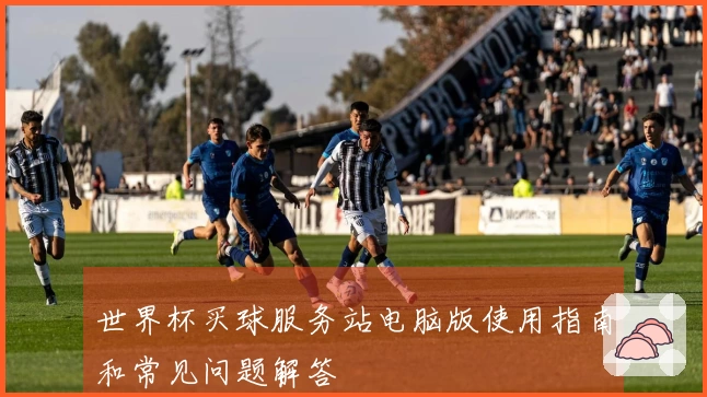 世界杯买球服务站电脑版使用指南和常见问题解答