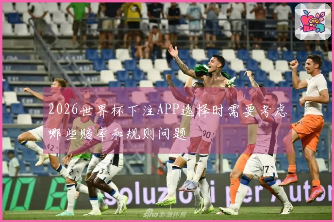 2026世界杯下注APP选择时需要考虑哪些赔率和规则问题