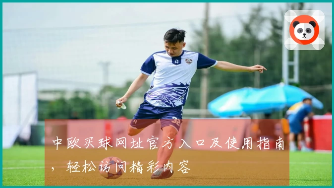 中欧买球网址官方入口及使用指南，轻松访问精彩内容