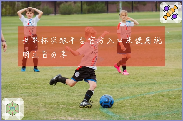 世界杯买球平台官方入口及使用说明主旨分享