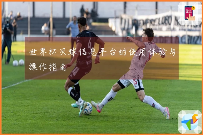 世界杯买球信息平台的使用体验与操作指南