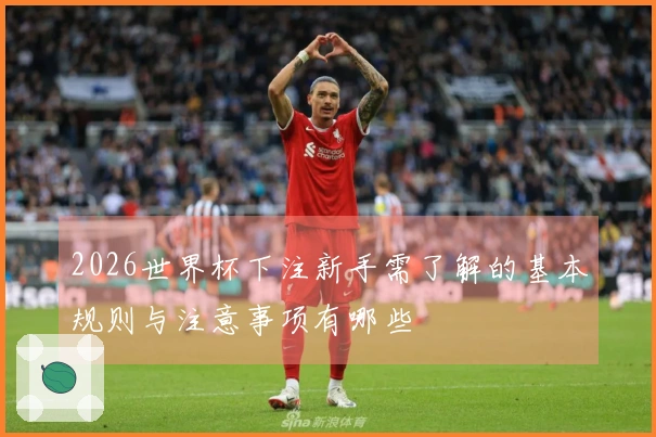 2026世界杯下注新手需了解的基本规则与注意事项有哪些