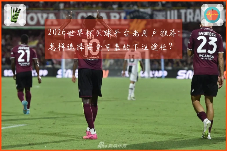 2026世界杯买球平台老用户推荐：怎样选择安全可靠的下注途径？