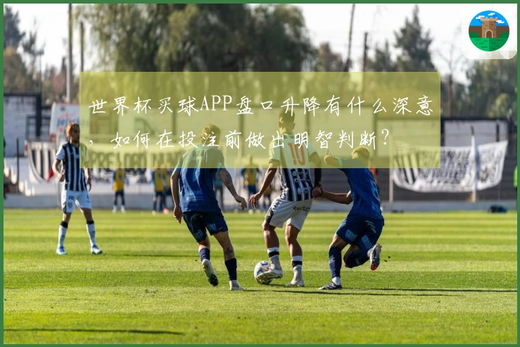 世界杯买球APP盘口升降有什么深意，如何在投注前做出明智判断？