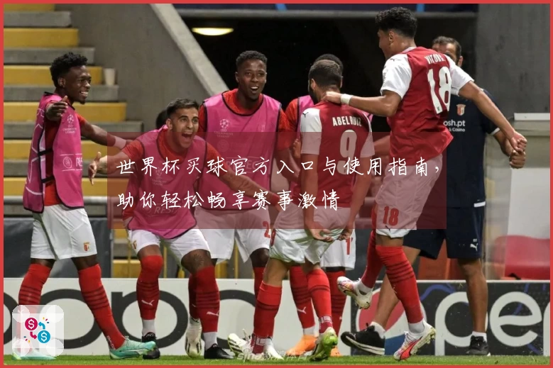 世界杯买球官方入口与使用指南,助你轻松畅享赛事激情