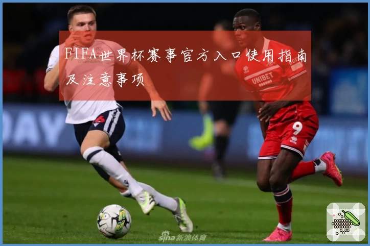 FIFA世界杯赛事官方入口使用指南及注意事项